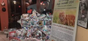 Foto dell’evento «Cena Solidale», n. 30