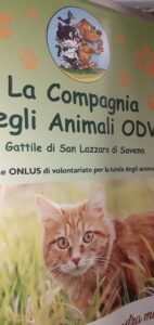 Foto dell’evento «Cena Solidale», n. 44