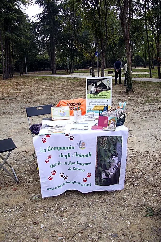 Il banchetto dell'associazione nel parco, con la tovaglia del gattile