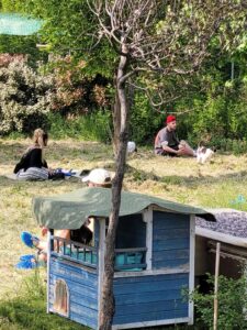 Foto dell’evento «Festa di Primavera», n. 4