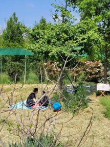 Foto dell’evento «Festa di Primavera», n. 7