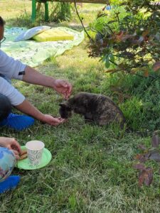 Foto dell’evento «Festa di Primavera», n. 15