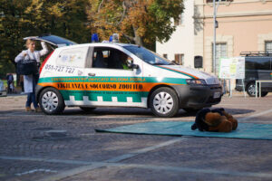 Foto dell’evento «Giornata dedicata agli animali», n. 12