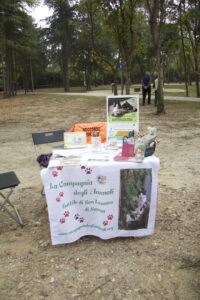 Foto dell’evento «Inaugurazione parco LungoSavena», n. 4