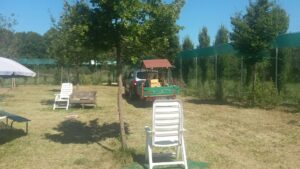 Foto dell’evento «Un regalo speciale», n. 8